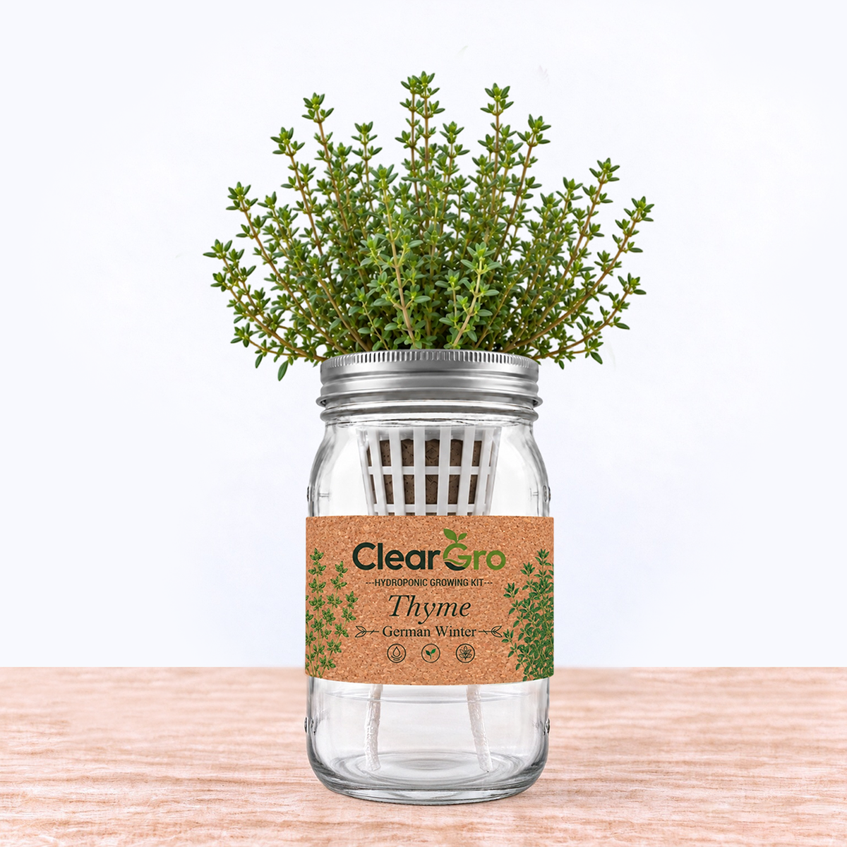 Thyme - German Winter Hydroponic Kit
