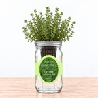 Thyme - German Winter Hydroponic Kit (Organic Seeds)