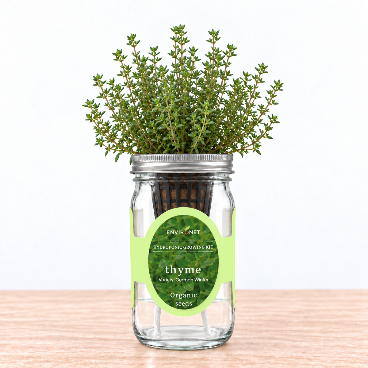 Thyme - German Winter Hydroponic Kit (Organic Seeds)