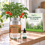 Tomato - Red Robin Hydroponic Kit