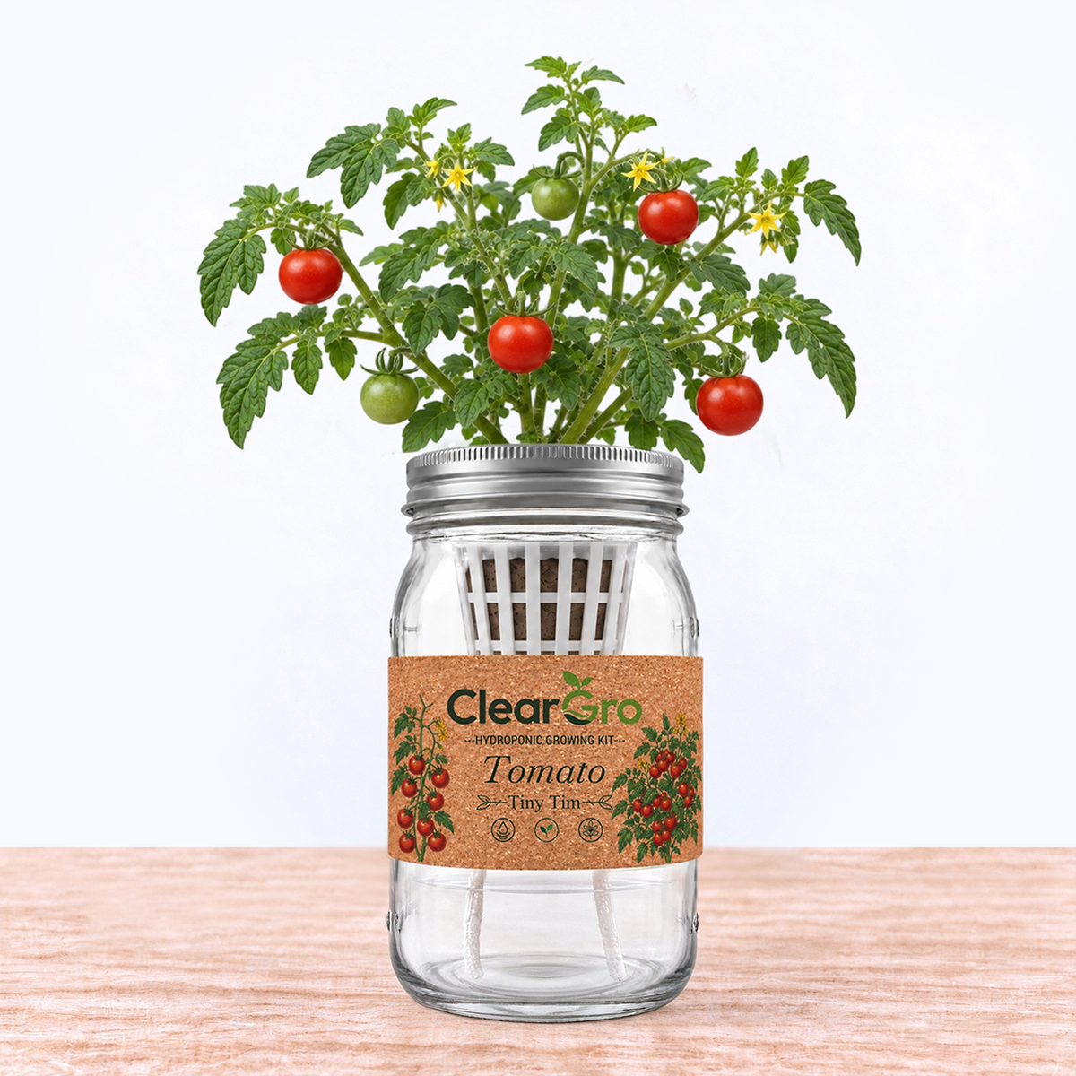 Tomato - Tiny Tim Hydroponic  Kit
