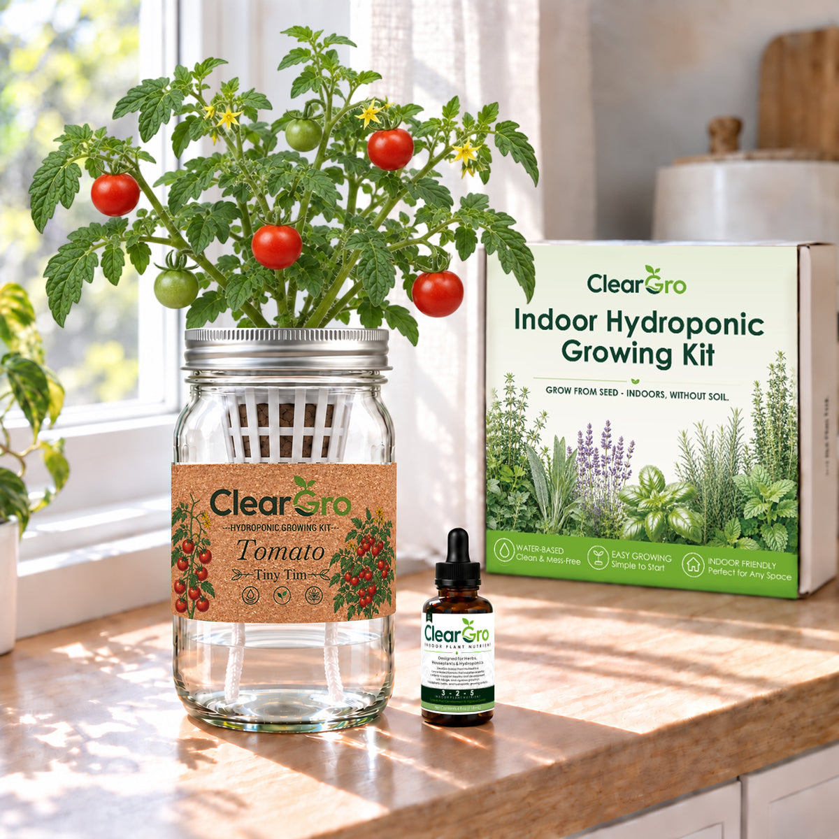 Tomato - Tiny Tim Hydroponic  Kit